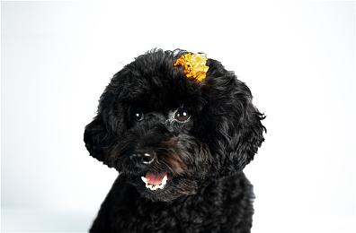 TGA 2022：《死亡搁浅2》将登陆PS5